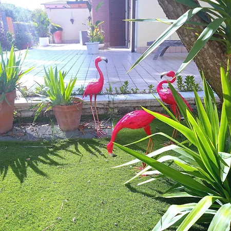 Lägenhet Casa Giardino