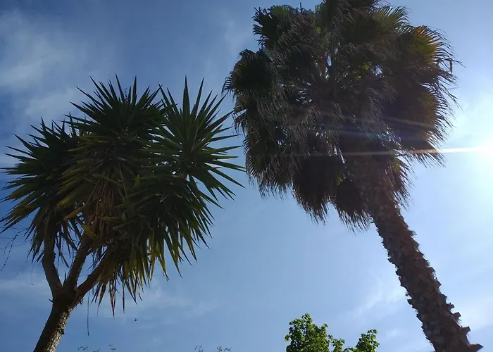 Casa Giardino Apartamento